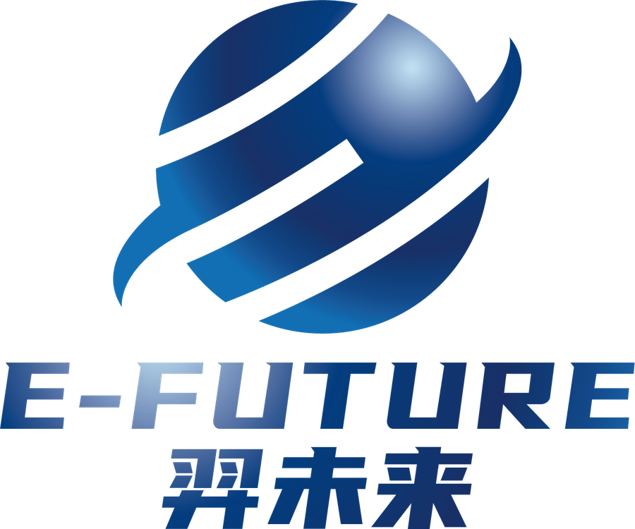 E-FUTURE